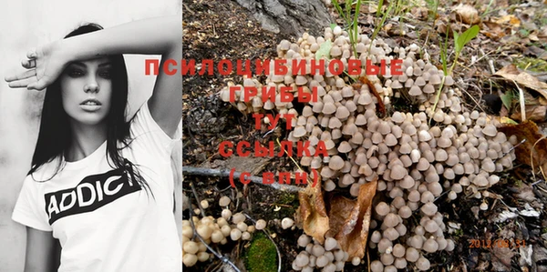 дмт Навашино