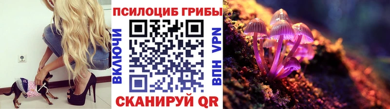 даркнет клад  наркошоп  МЕГА онион  Сольцы  Галлюциногенные грибы Magic Shrooms 